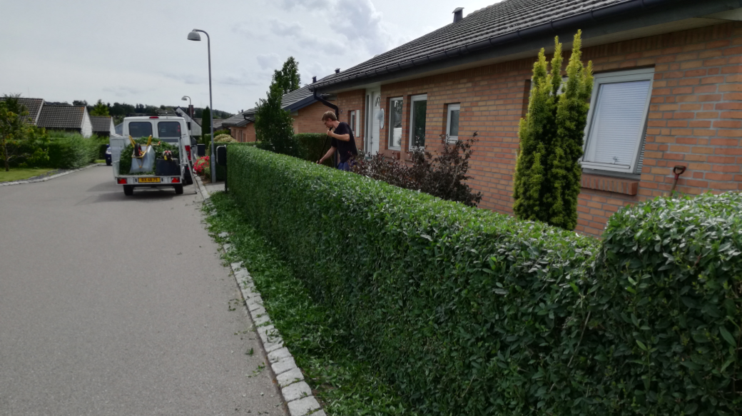 Home and Garden Help — Billeder 9