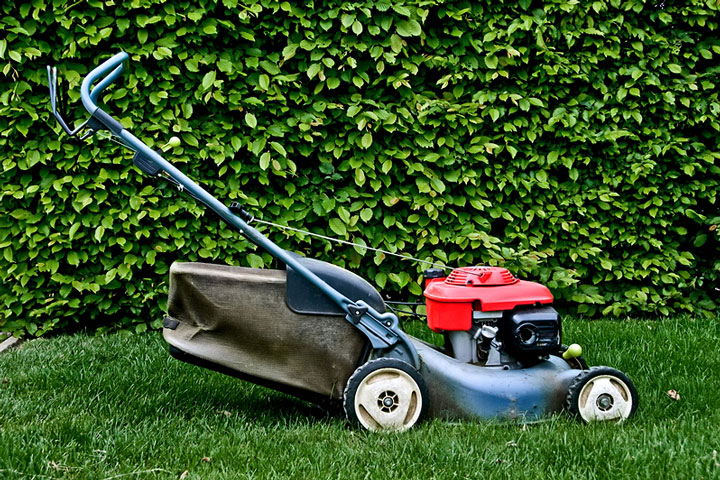 Home and Garden Help — Billeder 4